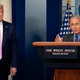 Image for article titled Trump Retweets #FireFauci Because He Hates People Who Tell the Truth